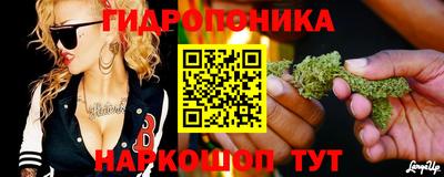 прущие крисы Волжск