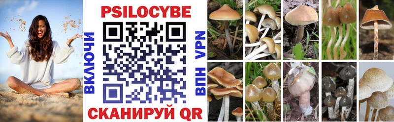 Галлюциногенные грибы Magic Shrooms Петропавловск-Камчатский