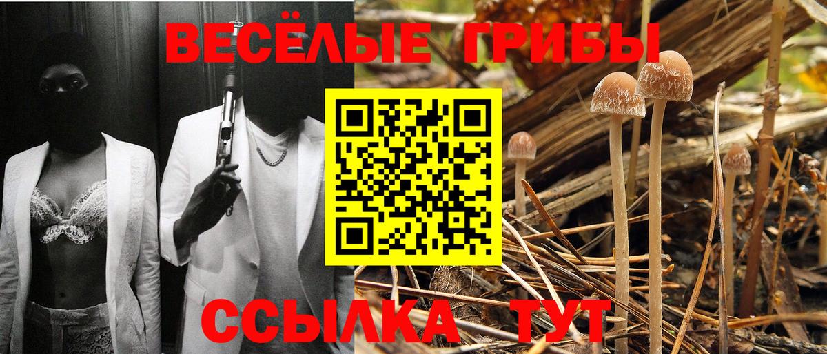 Петропавловск-Камчатский  закладки  Вход с VPN  Галлюциногенные грибы GOLDEN TEACHER 